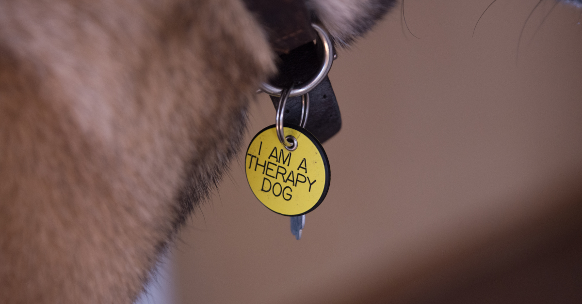 Surgical Steel Pendants