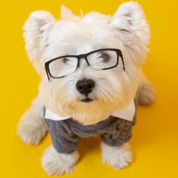 Pet Tag Engraving Machine Accessories