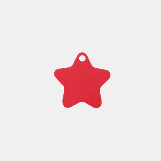 [Aluminum] Star Shaped Pendant [1 set-10ea]
